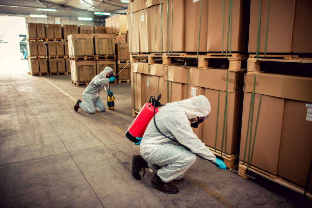 Best Flea Control Services  in Osceola, IN
